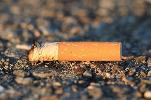 Warum achtlos weggeworfene Zigarettenkippen so gefährlich sind
