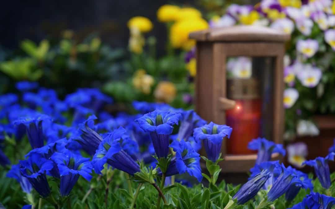 Friedhofssatzung – Was ändert sich und warum?