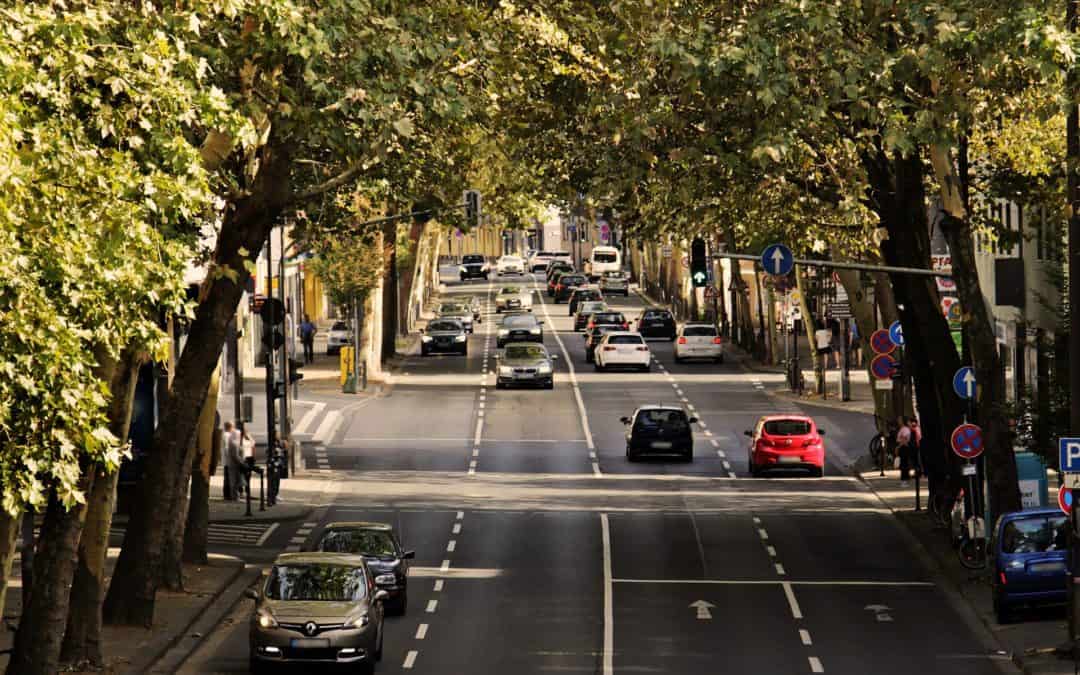 SPD-Fraktion für nachhaltigen Umgang mit Straßenbäumen