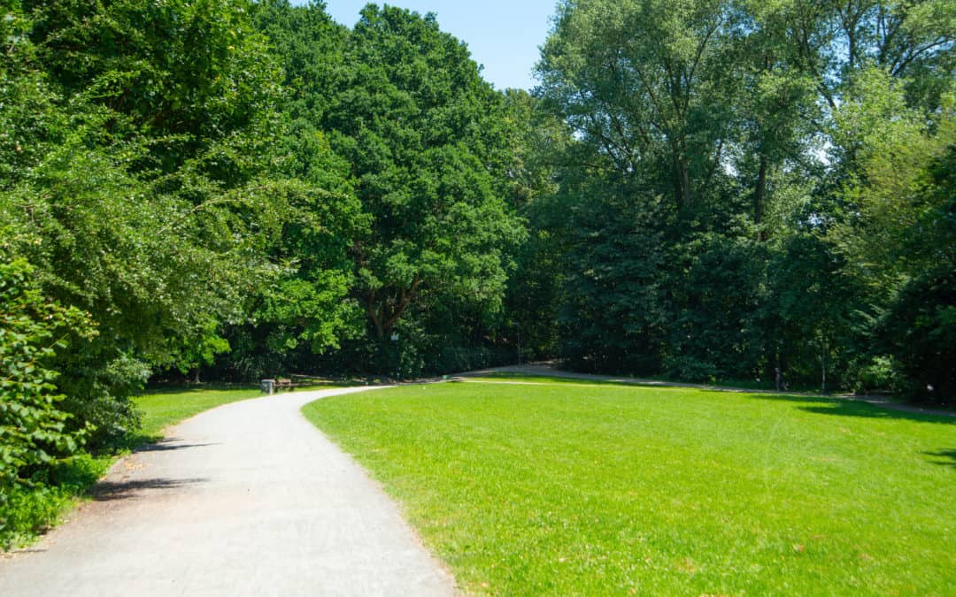 Bessere Pflege für Parks, Straßenbäume und öffentliche Grünanlagen