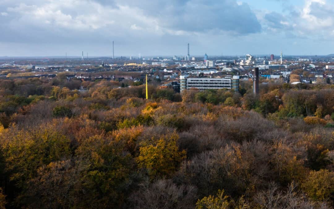 Neues Konzept: Mehr Grün für Duisburg