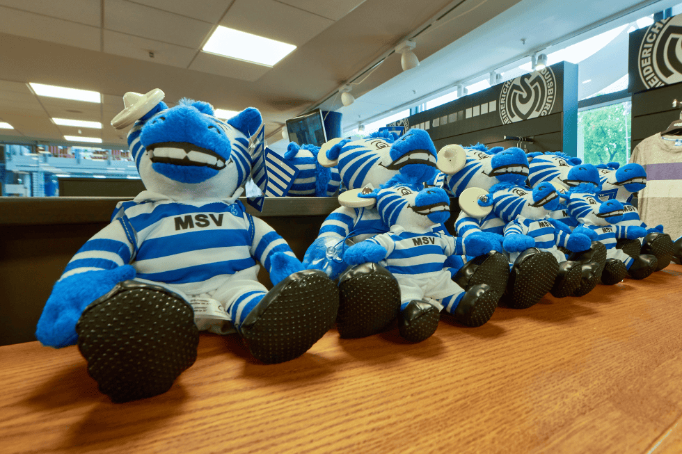 Neue Studie zeigt: Warum der MSV unsere Stadt stärker macht